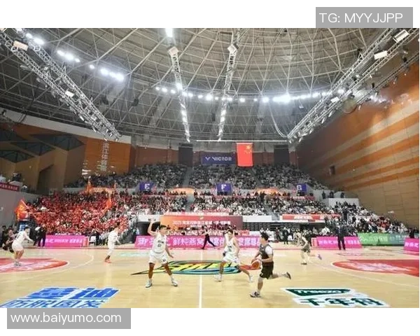 杭州篮球队速度揭秘：从训练到比赛的全景探索与分析